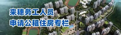 来穗务工人员申请承租公共租赁住房c